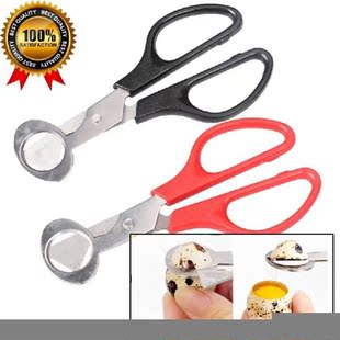 Quail Egg Scissors Bird Egg Scissors Stainless Steel Egg