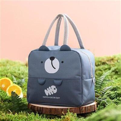 Student Cartoon Lunch Bag Waterproof Insulation Package For