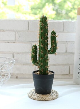 30/43cm Tropical Plants Large Artificial Cactus Tree Indoor