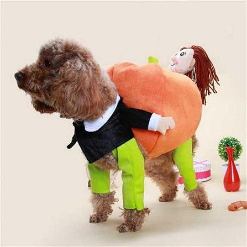 Halloween Pumpkin Dog Colthes Funny Pet Pumpkin Costume Cat