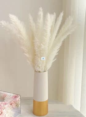 Bulrush Natural Dried Flowers Artificial Plants Branch