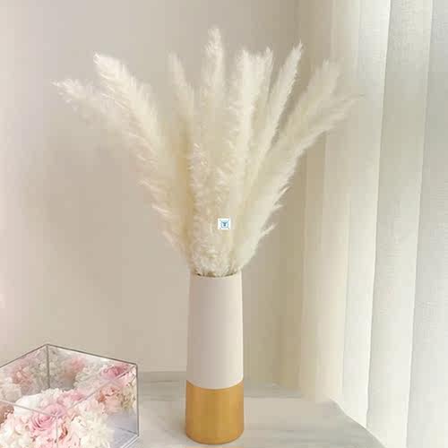 Bulrush Natural Dried Flowers Artificial Plants Branch