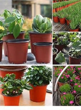 50Pcs Plastic Seedling Box Grow Fall Resistant Tray For