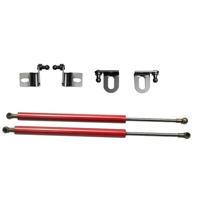 Damper for Toyota Prius XW30 2009-2015 Two Sides Auto Front