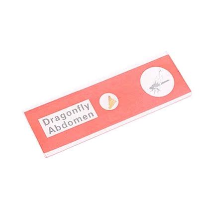 48pcs/set Kids Plastic Prepared Microscope Slides Biological