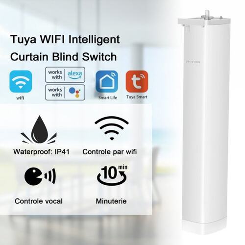 110V-220V Tuya WIFI Smart Curtain Blind Switch Electric Moto