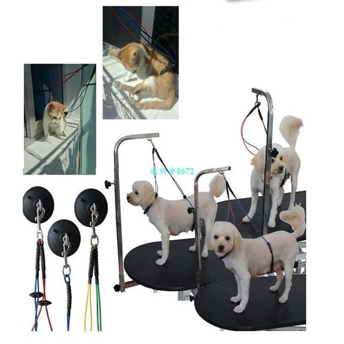 Pet Dog Cat Restraint Rope Grooming Loop Table Collar Leash