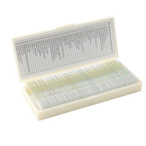 50PCS Biological Glass Sample Prepared Basic Animal Plants I