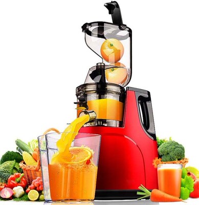 GERMAN Motor Technology New Large Mouth Slow Juicer Fruit Ve