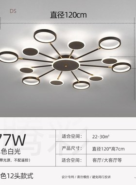 Modern led ceiling lamp living room ceiling lamp bedroom lam