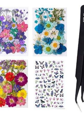 Dried Flower Material Packages Real Pressed Dry Flowers