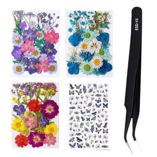 Dried Flower Material Packages Real Pressed Dry Flowers