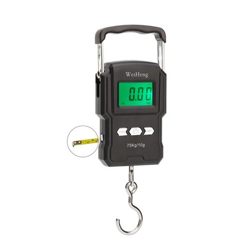 50Kg/5g/10g 75Kg/10g Electronic Weighing Scale LCD Digital D