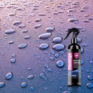 250ml Car Crystal Ceramic Coating Paint Care Nano Hydrophobi