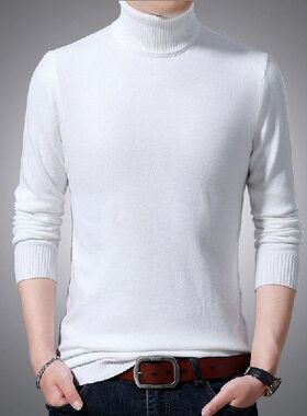 Classic Style Winter New Men's Thicken Warm Turtlene