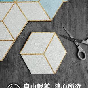 可擦洗地垫进门门垫皮革防滑耐脏地垫家用客厅卧室厨房防尘地垫子