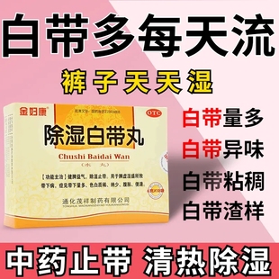 金妇康 除湿白带丸12袋 健脾益气除湿止带 带下量多色白质稀腹胀