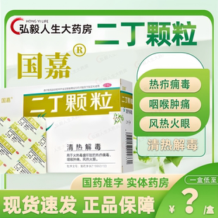 国嘉 二丁颗粒4g*9袋清热解毒火热毒盛热疖痈毒咽喉肿痛 风热火眼