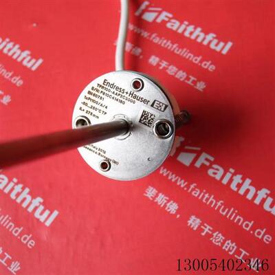 议价E+H TR100-AAF2C3000 恩德斯豪斯全新温度传感器 PT100现货直