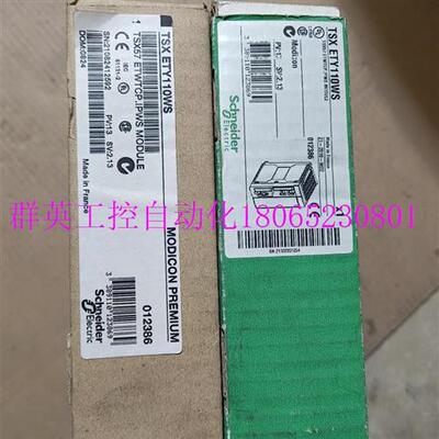 议价TSXETY110WS