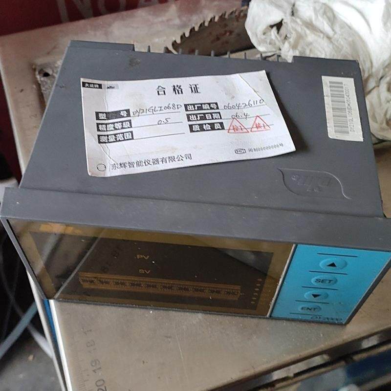 议价东辉大延 DY2000 智能数显仪表 DY21GL 新的没有