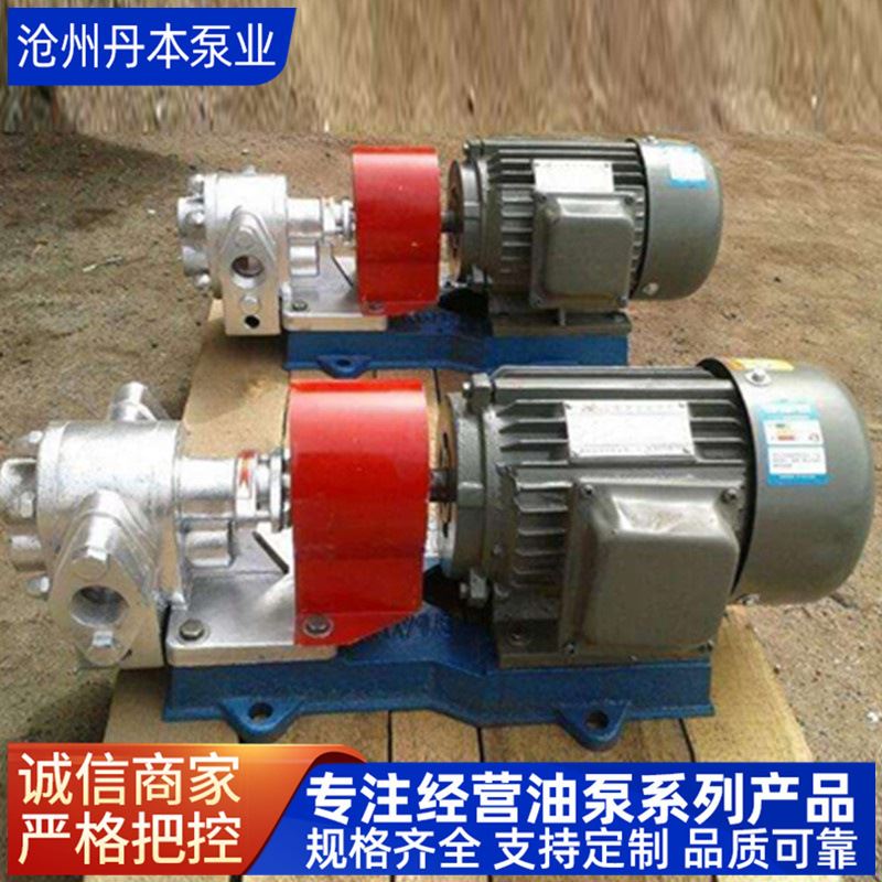 kcb微型齿轮泵电动自吸齿轮油泵不锈钢齿轮泵