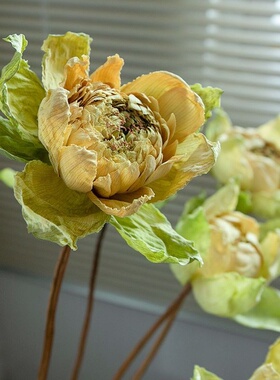 全荷花真莲花花束插花客厅家居禅意软装桌面自然干花装饰摆件包邮