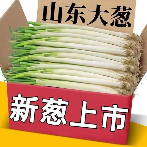 山东大葱新鲜特级9斤正宗甜脆铁杆大葱特产蔬菜5斤香葱头非章丘