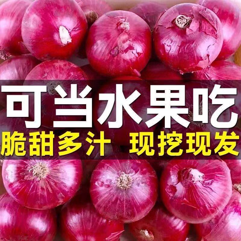 现挖云南紫皮洋葱5斤新鲜大洋葱小洋葱甜味蔬菜红皮大圆葱头