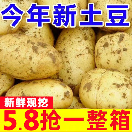 正宗山东新鲜中土豆5黄皮黄心当季土豆农家蔬菜带10斤马铃薯