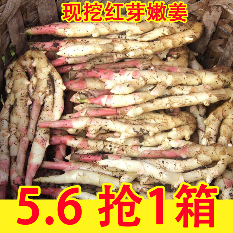嫩姜新鲜红芽姜仔姜子姜指头生姜5斤非云南小黄姜泡老醋鲜姜