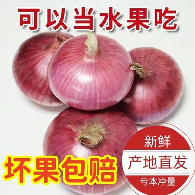 新鲜水果洋葱9斤紫皮圆葱蔬菜当季扁大小洋葱头甜味生吃脆甜