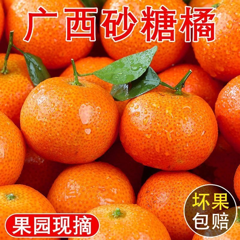 广西正宗新鲜砂糖橘整箱5斤小蜜桔子金秋沙糖桔应季水果