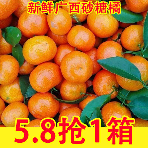 广西金秋砂糖橘砂糖桔橘子新鲜水果新鲜桔子孕妇水果5斤整箱