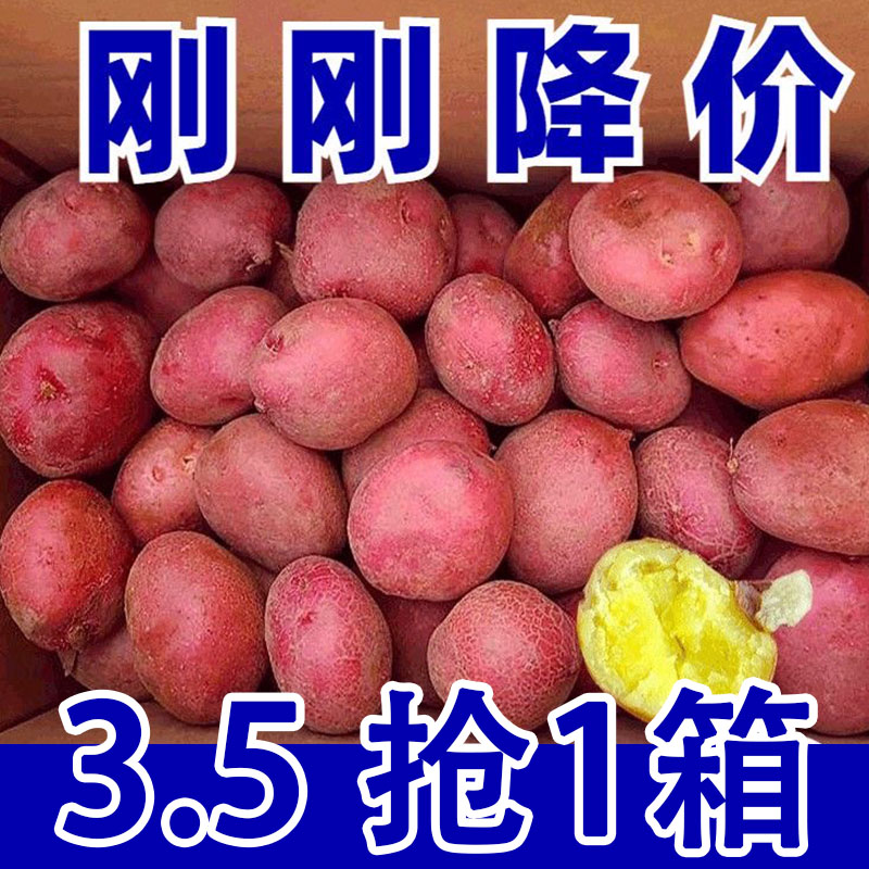 云南红皮土豆9斤新鲜蔬菜小土豆马铃薯洋芋黄心土豆整箱包邮