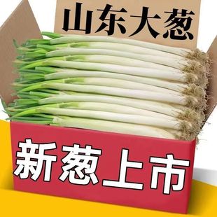 正宗山东大葱铁杆新鲜蘸酱9斤特级甜葱非章丘批发东北特产