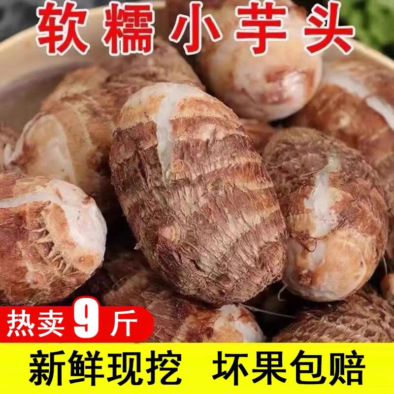 新鲜牛奶芋头现挖5斤小毛软糯香滑农产品芋艿新鲜蔬菜竽头小香芋