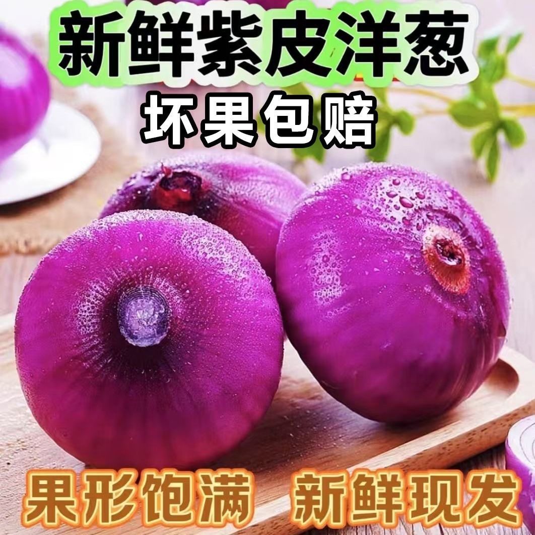 现挖云南紫皮洋葱5斤新鲜大洋葱小洋葱甜味蔬菜红皮大圆葱头,水产肉类/新鲜蔬果/熟食,洋葱/红葱头,淘宝优惠券,粉丝福利购,淘宝优惠卷