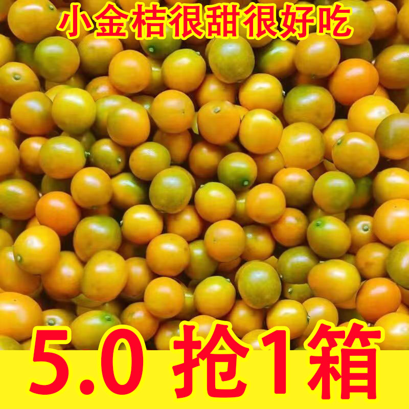 广西桂林脆皮小金桔5斤新鲜纯甜水果脆甜冰糖金桔应当季整箱包邮