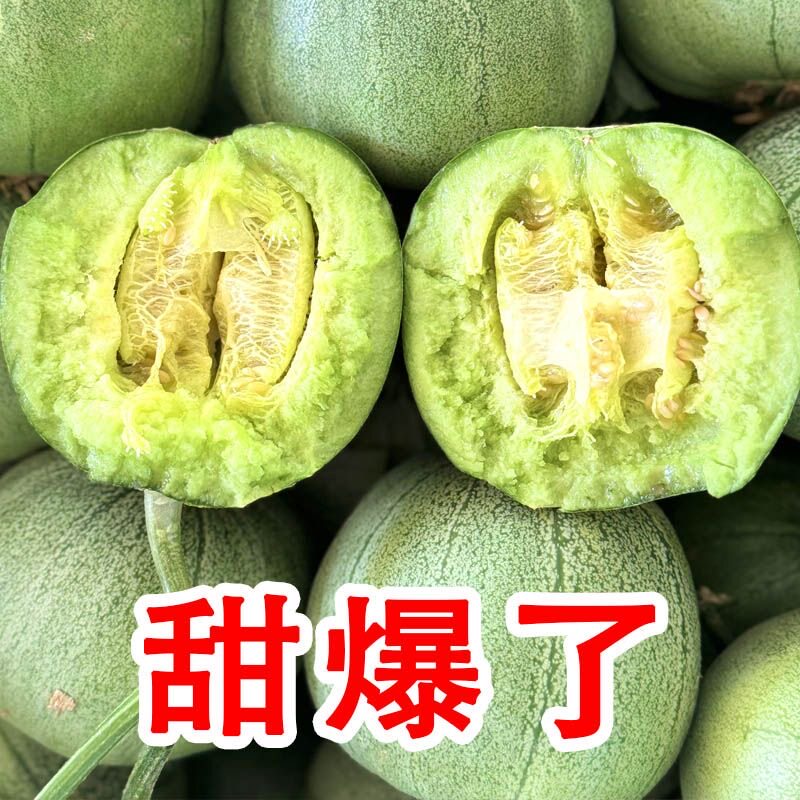 山东绿宝甜瓜香瓜新鲜水果应季脆甜多汁5斤农产品绿宝石