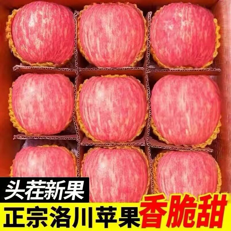 正宗陕西洛川苹果水果新鲜当季整箱红富士冰糖心一级脆甜包邮斤