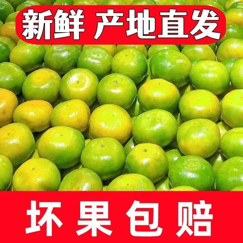 云南青皮橘子早熟新鲜蜜桔子应季孕妇水果绿皮5斤9斤酸甜多汁