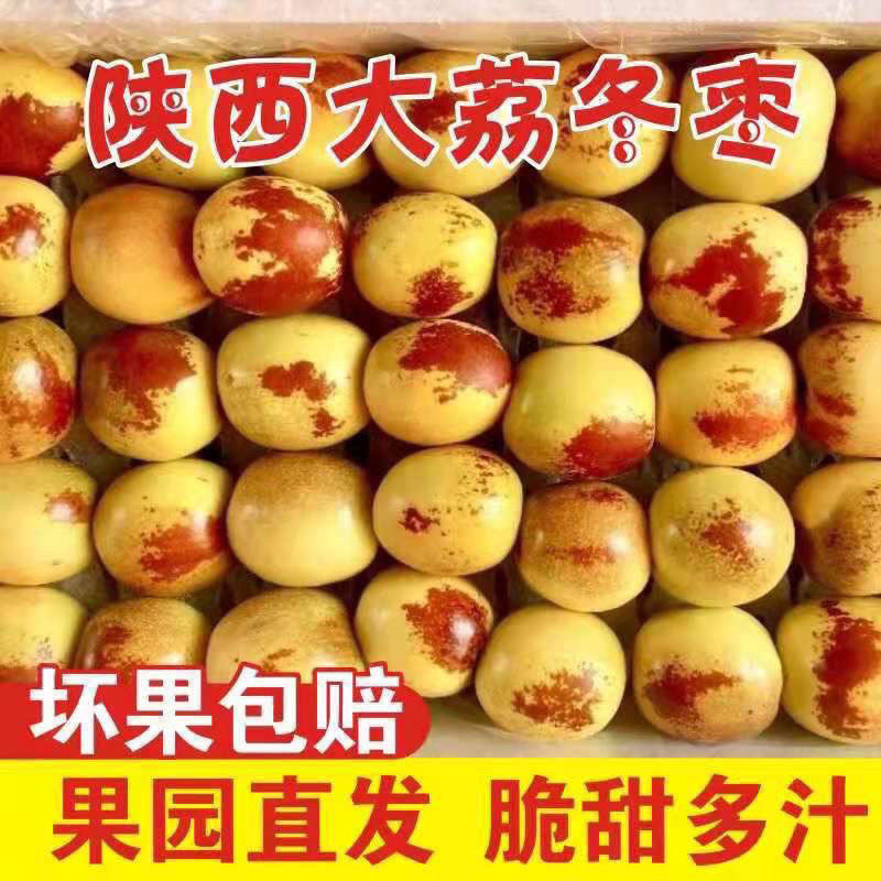新鲜陕西大荔冬枣5斤孕妇应当季水果鲜枣大枣现摘青红枣整箱包邮