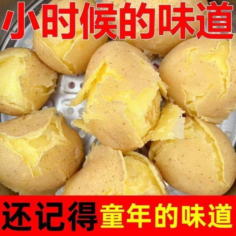 土豆10斤新鲜洋芋黄皮黄心高山米拉老品种马铃薯蔬菜