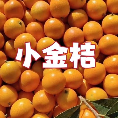 广西桂林脆皮小金桔5斤新鲜纯甜水果脆甜冰糖金桔应当季整箱包邮