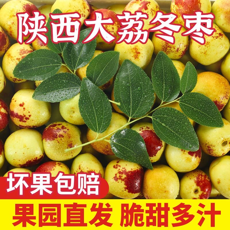 新鲜冬枣5斤水果新鲜当季整箱时令现季包邮枣子脆枣鲜枣