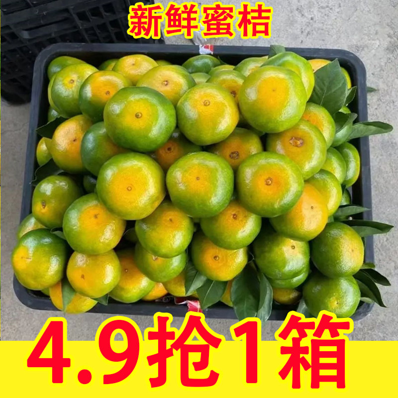 新鲜蜜桔新鲜水果当季整箱9斤孕妇时令特早熟酸甜薄皮橘子柑桔子