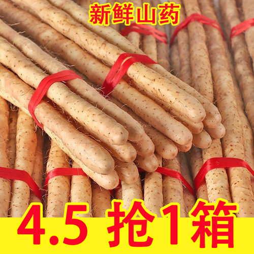 新鲜山药