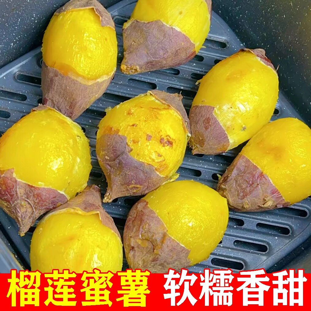 正宗榴莲蜜薯圆果胖胖果现挖鸡蛋薯软糯香甜糖心流蜜蒸著烤薯包邮