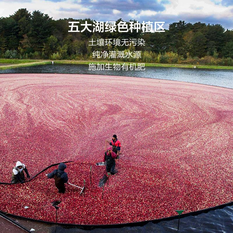 自营】Themarketrocer澳洲g进口蔓越莓果干烘焙TIL零食即【3食包